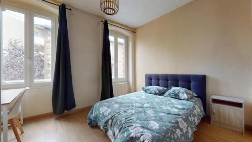 Bright private room in Saint-etienne