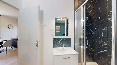 Private room at 2 Rue Charles Moureu, 64000 Pau, France, image 10 of 23