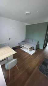 Room for rent in a shared flat in Troyes