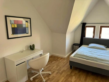 Room for rent in a shared flat in Dusseldorf