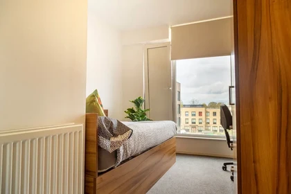 Alquiler de habitación en piso compartido en Cambridge