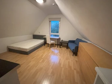 Stanza privata con letto matrimoniale Rotterdam