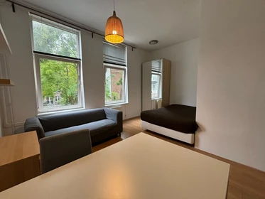 Room for rent in a shared flat in Rotterdam