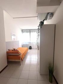 Alquiler de habitaciones por meses en Trento