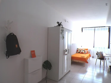 Room for rent in a shared flat in Trento