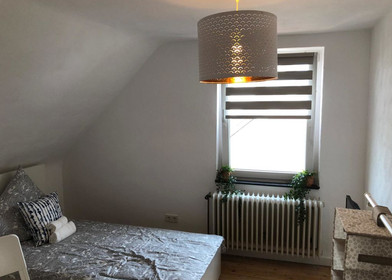 Modern and bright flat in Kaiserslautern