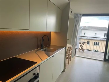 Logement de 2 chambres à Uppsala