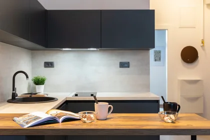 Logement entier à Martićeva ulica 17, image 6 de 31