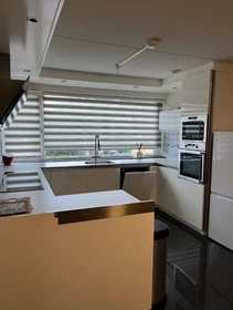 Apartamento entero totalmente amueblado  en Utrecht