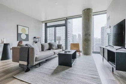 Appartamento intero in North State Street, River North, immagine 1 di 10