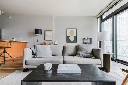 Appartamento intero in North State Street, River North, immagine 2 di 10