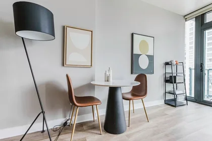 Appartamento intero in North State Street, River North, immagine 7 di 10