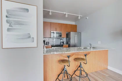 Appartamento intero in North State Street, River North, immagine 8 di 10