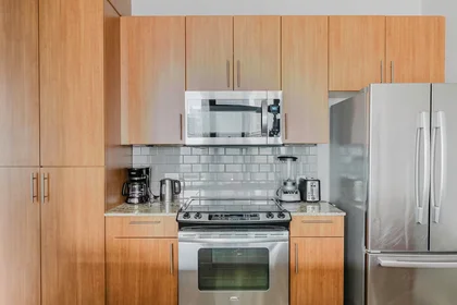 Appartamento intero in North State Street, River North, immagine 9 di 10