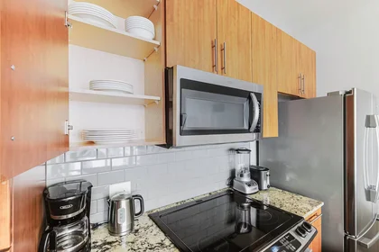 Appartamento intero in North State Street, River North, immagine 10 di 10