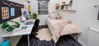 Chambre à louer dans un appartement en colocation à Canberra-queanbeyan