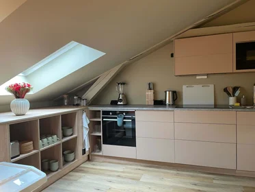 Özel oda konumu Grünerløkka, Oslo, Norway, 22 29 görüntüsü