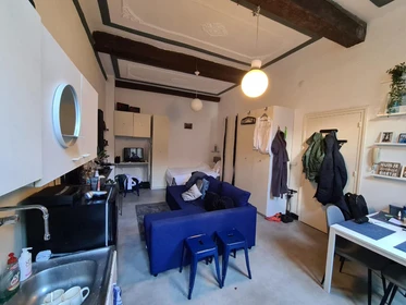 Room for rent in a shared flat in Maastricht