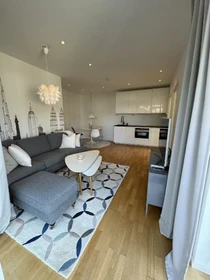 Apartamento entero totalmente amueblado  en Goteborg