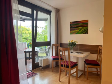 Entire fully furnished flat in Innsbruck