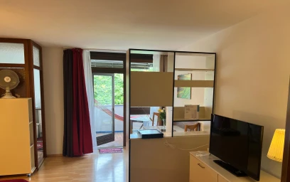 Entire apartment at Tiergartenstraße, image 6 of 20