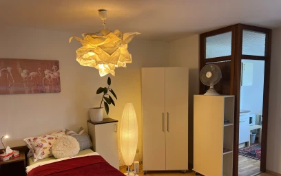 Entire apartment at Tiergartenstraße, image 7 of 20