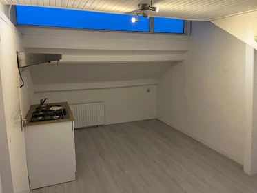 Alquiler de habitaciones por meses en Utrecht