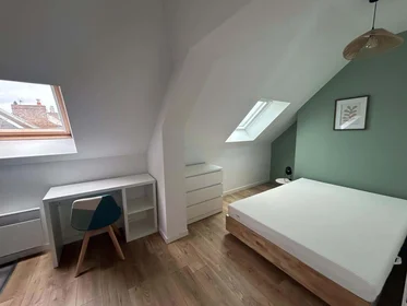 Quarto privado em 2 Rue du Pinceau, 80000 Amiens, France, imagem 9 de 12