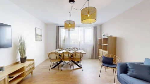 Prywatny pokój Strasbourg, 67000, obraz 1 10
