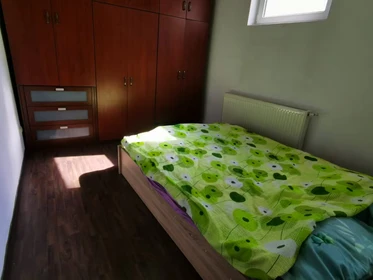 Habitación en alquiler con cama doble Bucuresti