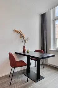 Entire apartment at Lange Nieuwstraat, Centrum, image 5 of 10