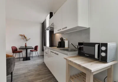 Entire apartment at Lange Nieuwstraat, Centrum, image 6 of 10