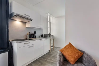 Entire apartment at Lange Nieuwstraat, Centrum, image 7 of 10