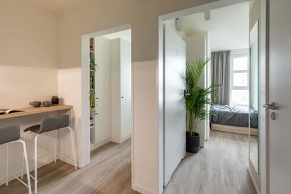 Appartamento intero in Grzegórzecka 20, 33-332 Kraków, Poland, immagine 3 di 16