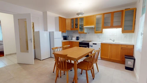 Stanza privata in 66 bis Avenue Roger Salengro, immagine 22 di 34