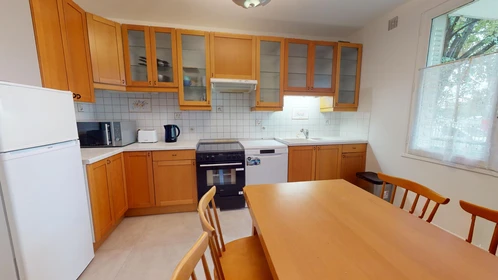 Stanza privata in 66 bis Avenue Roger Salengro, immagine 25 di 34