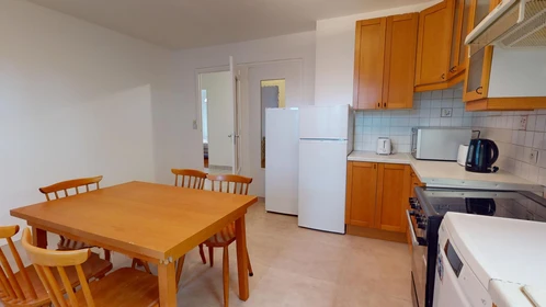 Stanza privata in 66 bis Avenue Roger Salengro, immagine 27 di 34