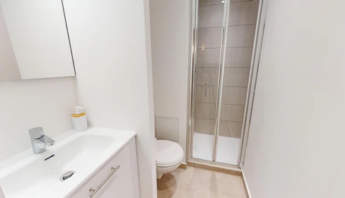 Stanza privata in 66 bis Avenue Roger Salengro, immagine 31 di 34