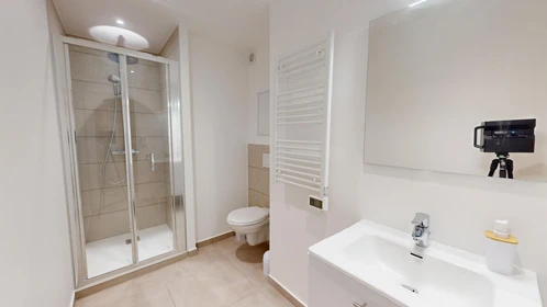 Stanza privata in 66 bis Avenue Roger Salengro, immagine 33 di 34