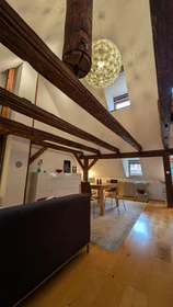 Renting rooms by the month in Nurnberg