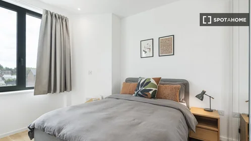 Apartamento inteiro em Queens Rd, imagem 3 de 6