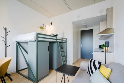 Stylish studio in Maastricht