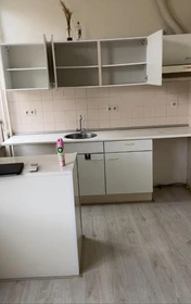 Room for rent in a shared flat in Maastricht