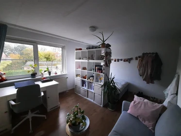 Alquiler de habitación en piso compartido en Enschede