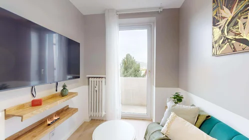 Prywatny pokój 10 Rue Jean Richepin, 63000 Clermont-Ferrand, France, obraz 9 17