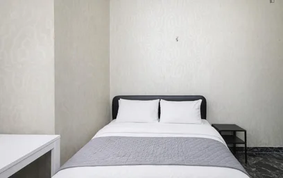 Chambre privée à Viale Gran Sasso, image 21 de 21