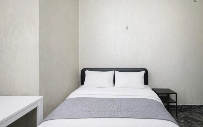 Chambre privée à Viale Gran Sasso, image 21 de 21