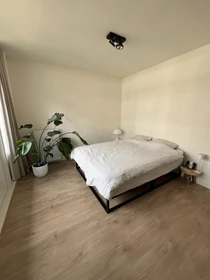 Renting rooms by the month in Rotterdam