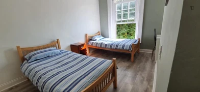 Cheap private room in Dublin