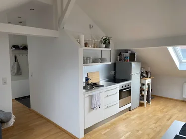 Całe miejsce Löwenstraße, Mitte, obraz 4 10